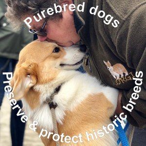 Meet your Posher, Ellen